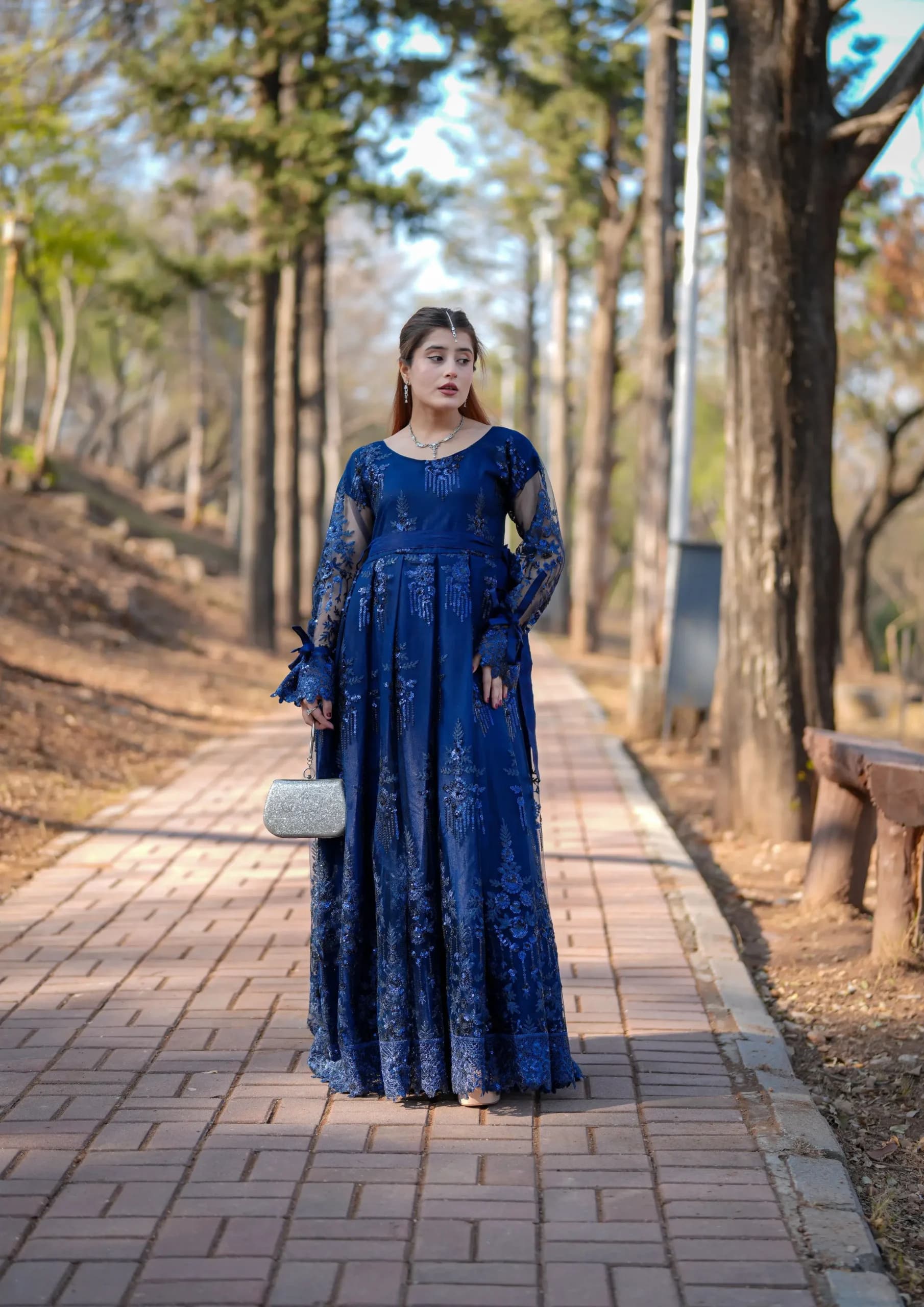 Aaraish Luxury: Royal Sapphire Gown