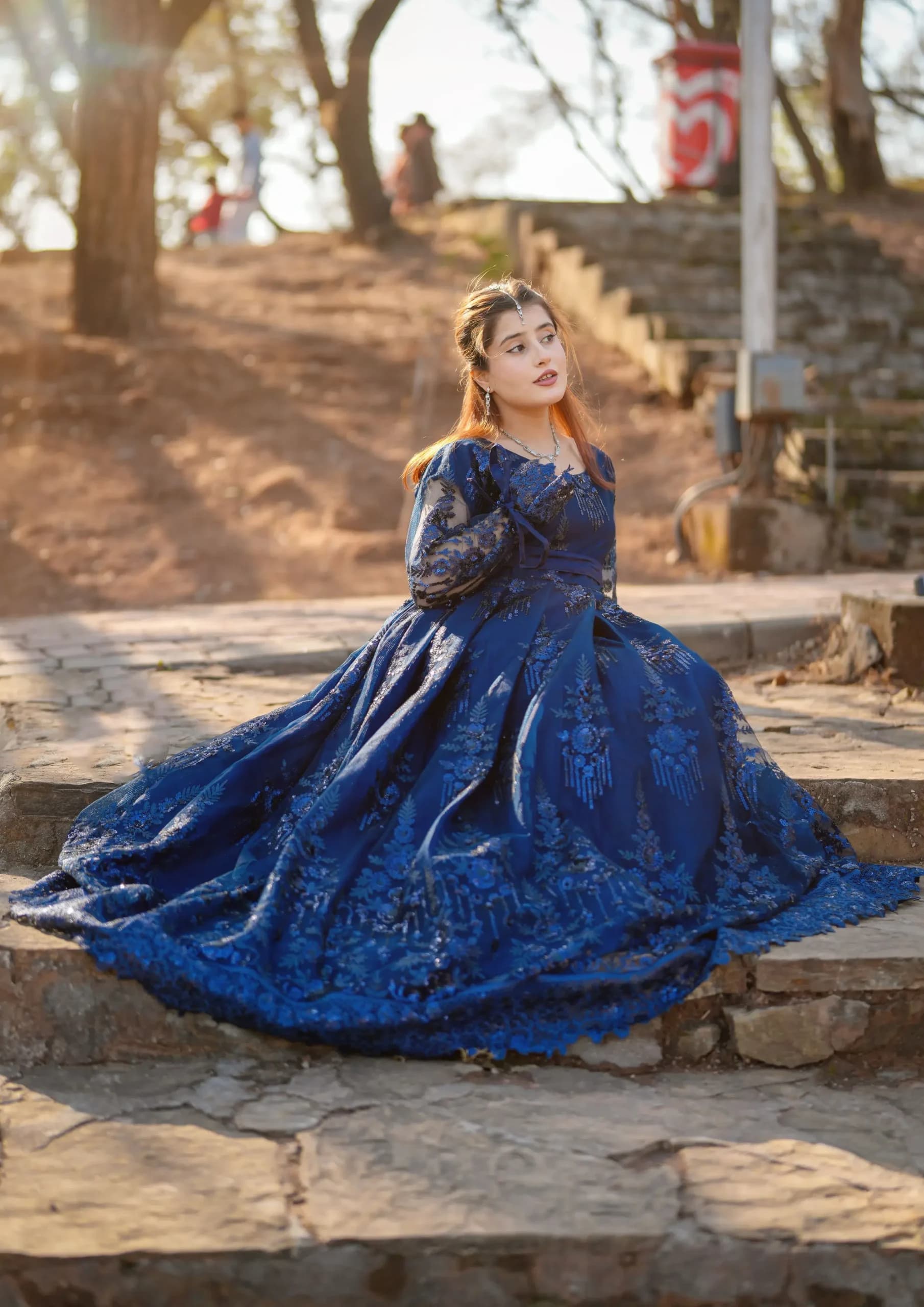 Aaraish Luxury: Royal Sapphire Gown